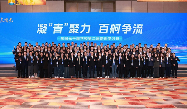 凝“青”聚力，百舸争流 | 雷竞技干部学校2024年第二届培训学习班圆满结束